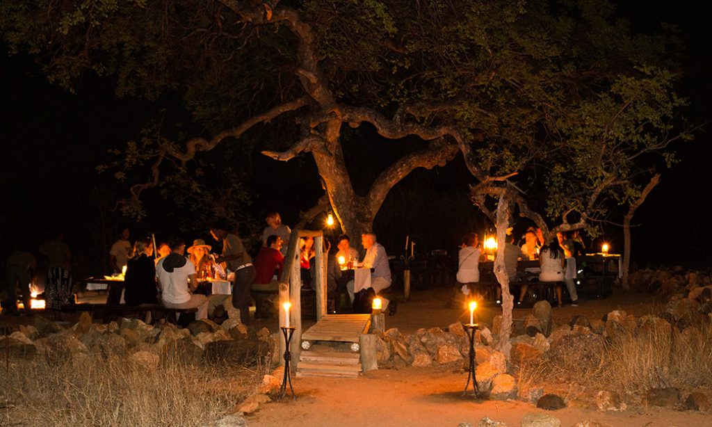Krüger Park Safari in Südafrika: Busch-Dinner unter einem Marula-Baum